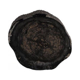 Table basse pétrifiée - Bois fossilisé noir & résine - vue 2