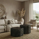 Table basse pétrifiée - Bois fossilisé noir & résine - vue 4
