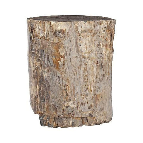 Socle Bois Pétrifié - Pièce Unique Naturelle