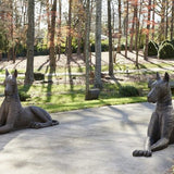 Dogue Bronze - Sculpture Animalière Bronze Poudré, Droite - vue 5