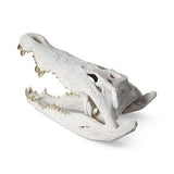 Sculpture - Crâne de Crocodile - Pierre Blanche & Dents Dorées - vue 3