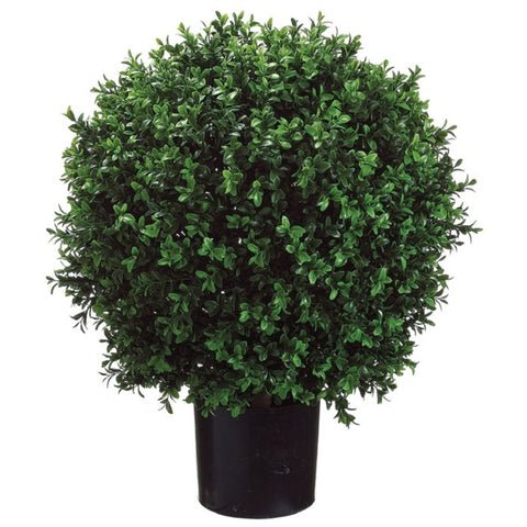 Topiaire boule de buis dense