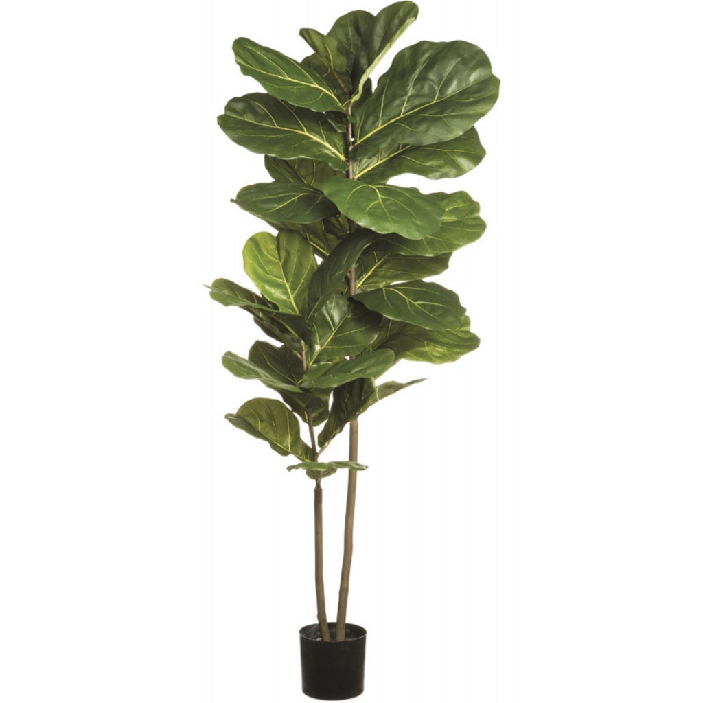 Ficus lyrata artificiel 63''