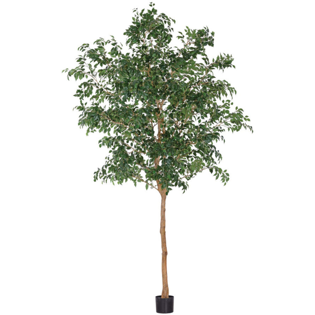 Ficus benjamina artificiel 120''