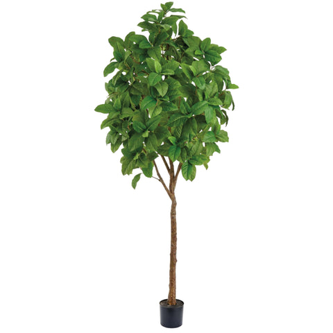 Ficus Elastica artificiel | 84''