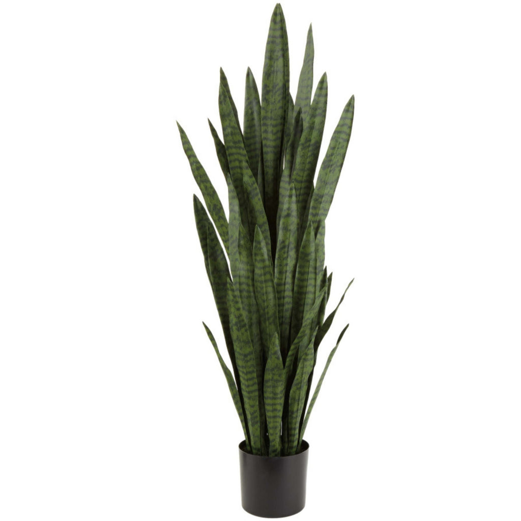 Sansevieria artificiel 55''